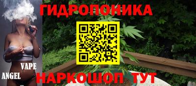 прущие грибы Краснодар